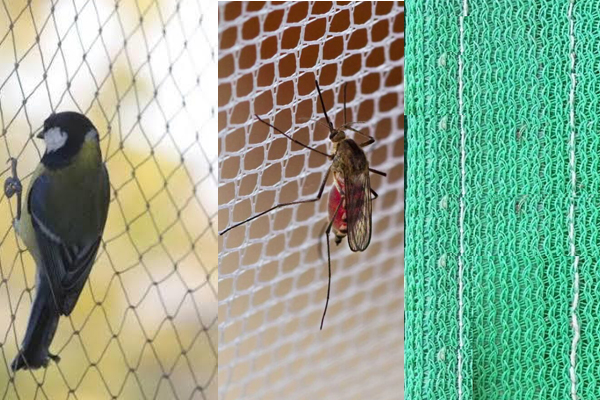 01birdsnetmosquitonetgreennet_1617171105.jpg